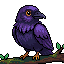 Raven Rank