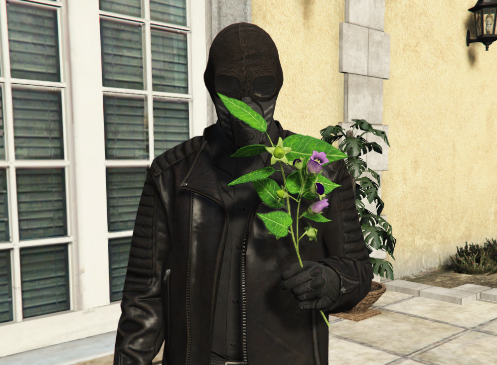 Flowers - Props - FREE