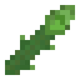 Asparagus Seed