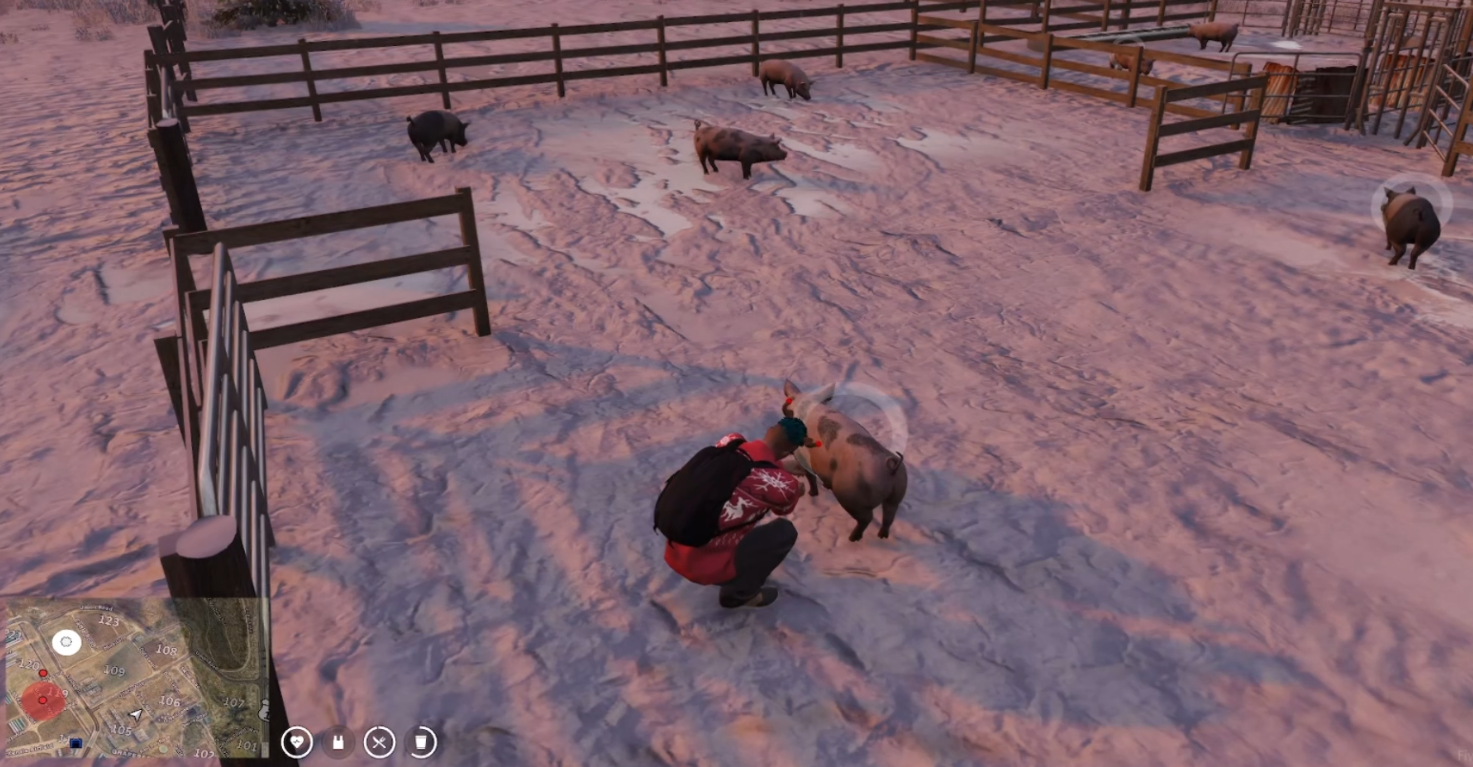 Schweinefleisch Farmen