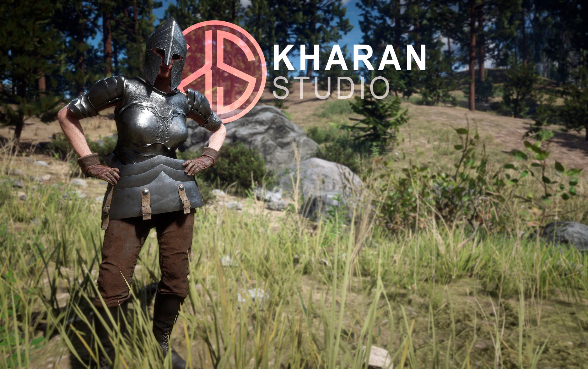 Medieval Armor Sets