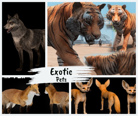 Exotic Pets +