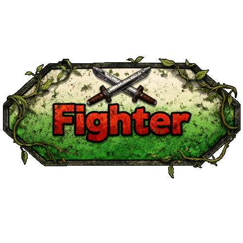 Fighter