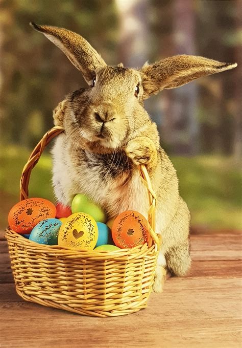 🐇 Clé des ondées  x10 +1