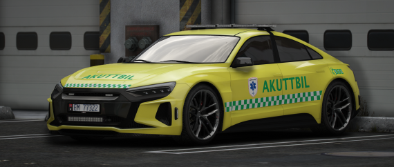 EMS Omnis e-GT w/ Reflection