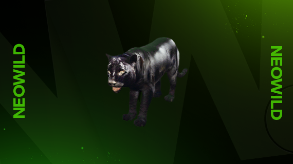Black Jaguar