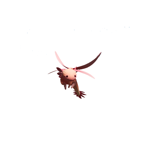 Axolotl