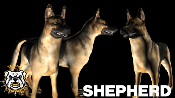 Shepherd (Addon Ped)
