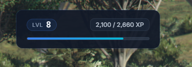 XP and LEVEL SYSTEM