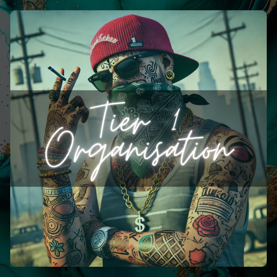 Tier 1 Organisation : Foundation Package preview