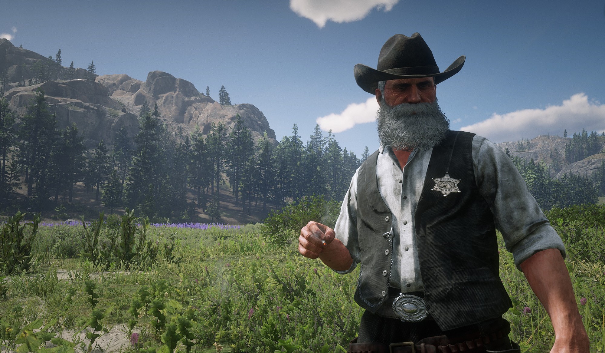 Lawman Badges Collection