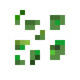 Cauliflower Seed