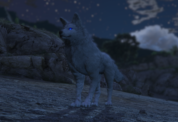 King Wolf
