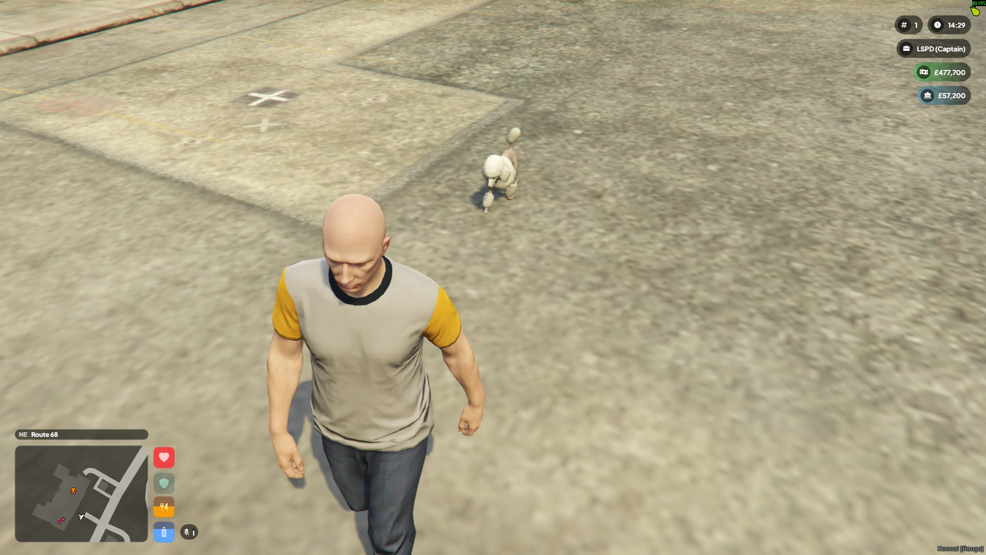 Duddzy Pet System