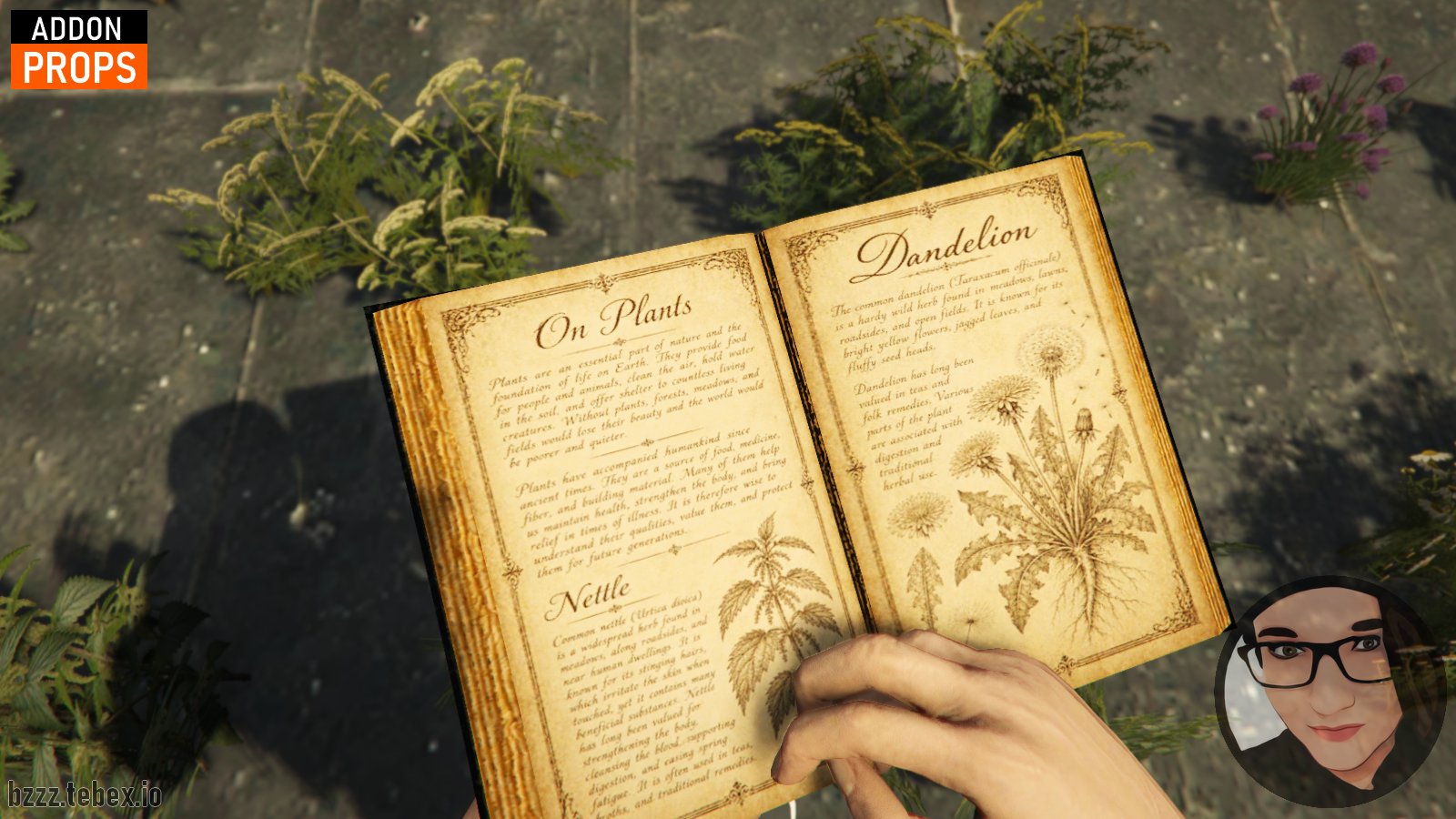 Herbs