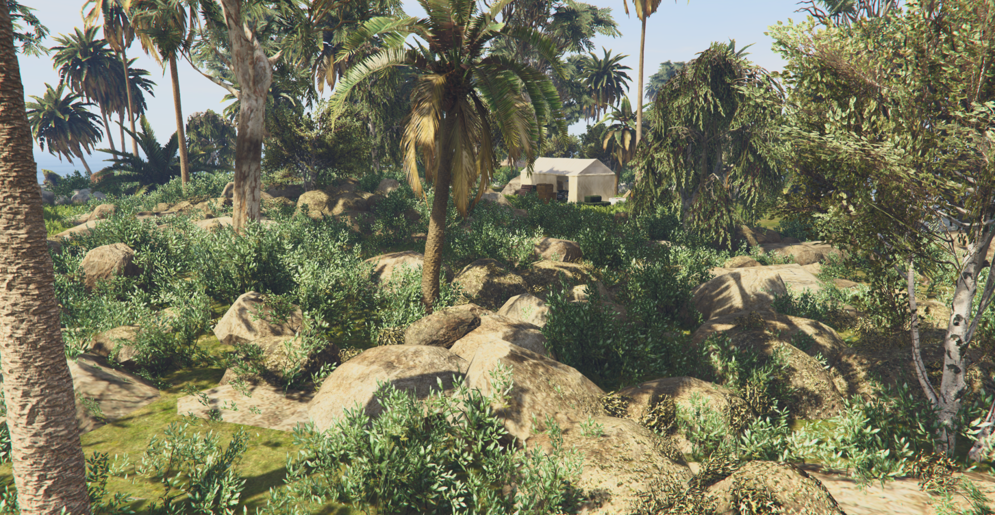 Tropical Island