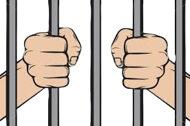 FiveO Jail Bot