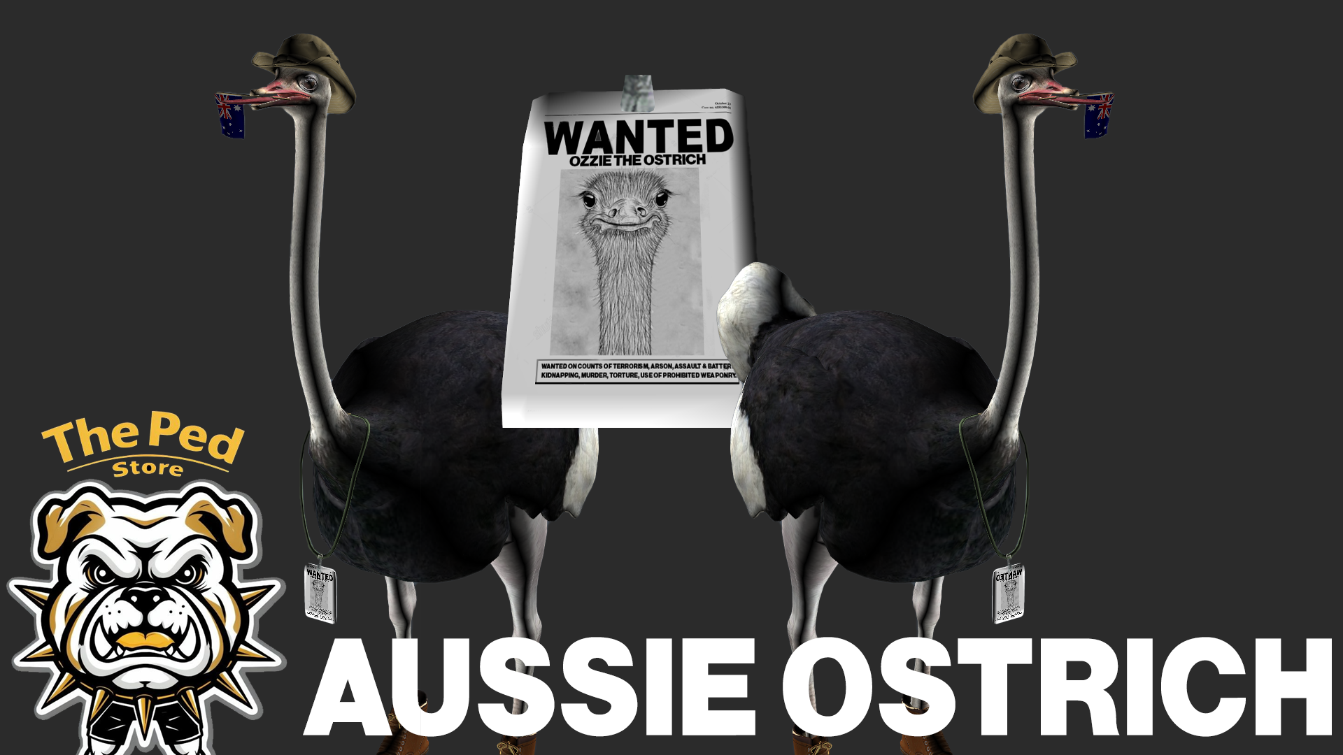 Australian Ostrich
