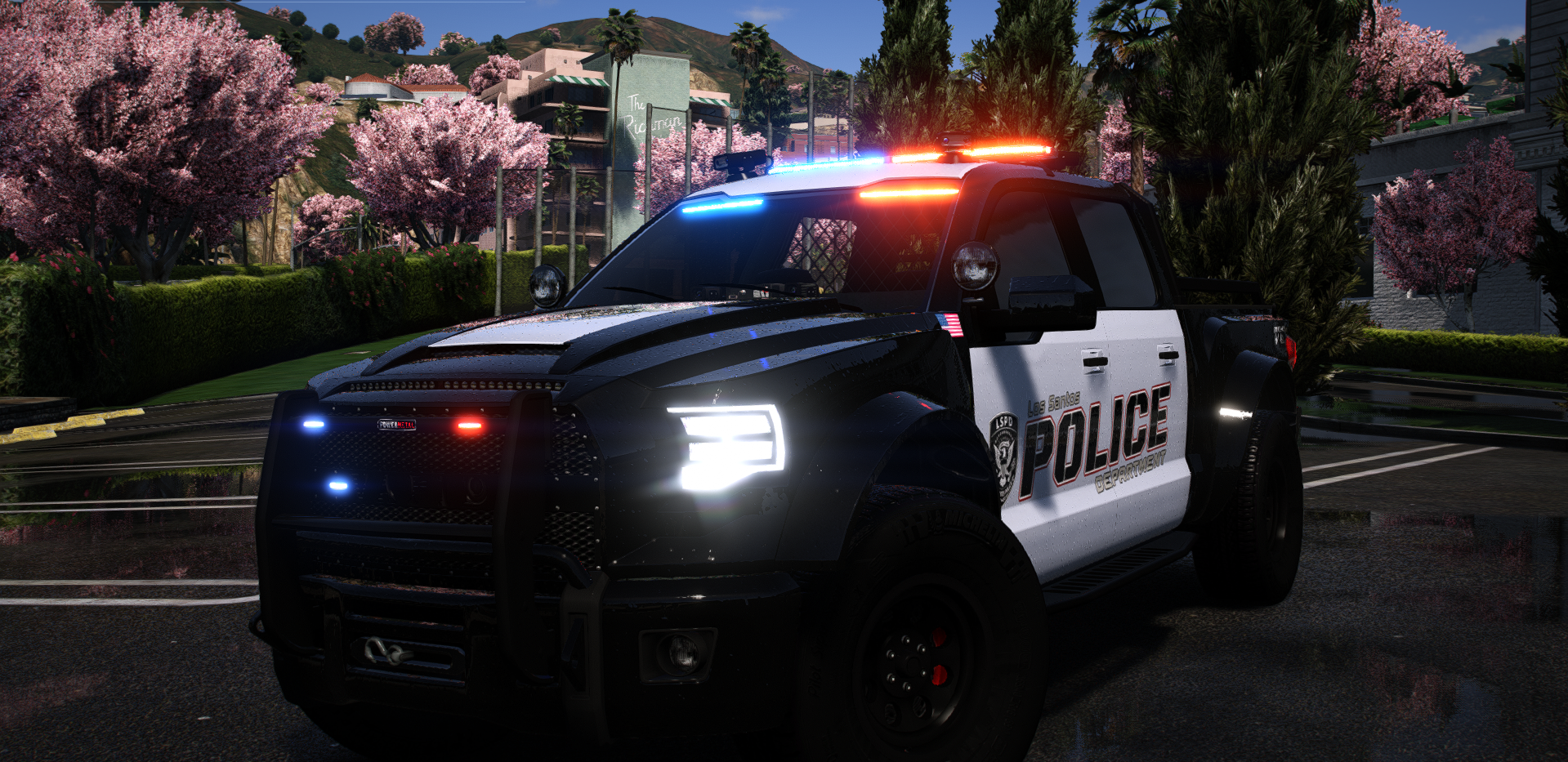 POLICE CARACARA2 (CARACARA 4x4)