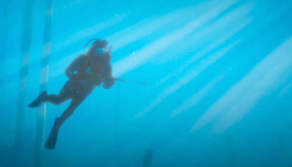 FiveM Spearfishing [QBCORE/ESX/any framework]