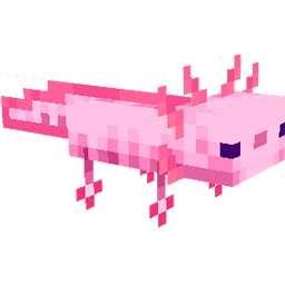 Ajolote [Mascota]