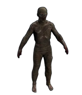 Mummy Suit