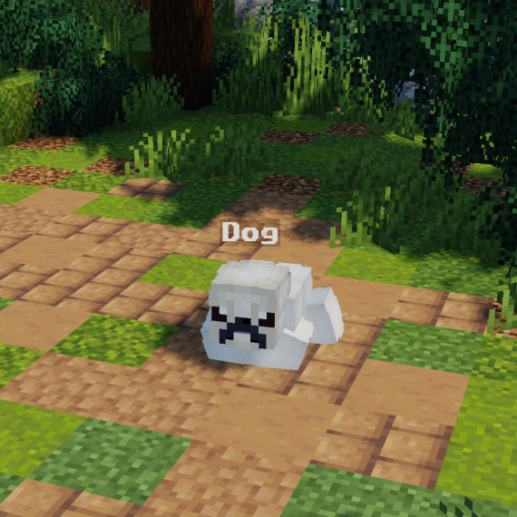 Dog pet