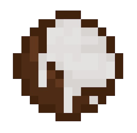 500 Coconuts