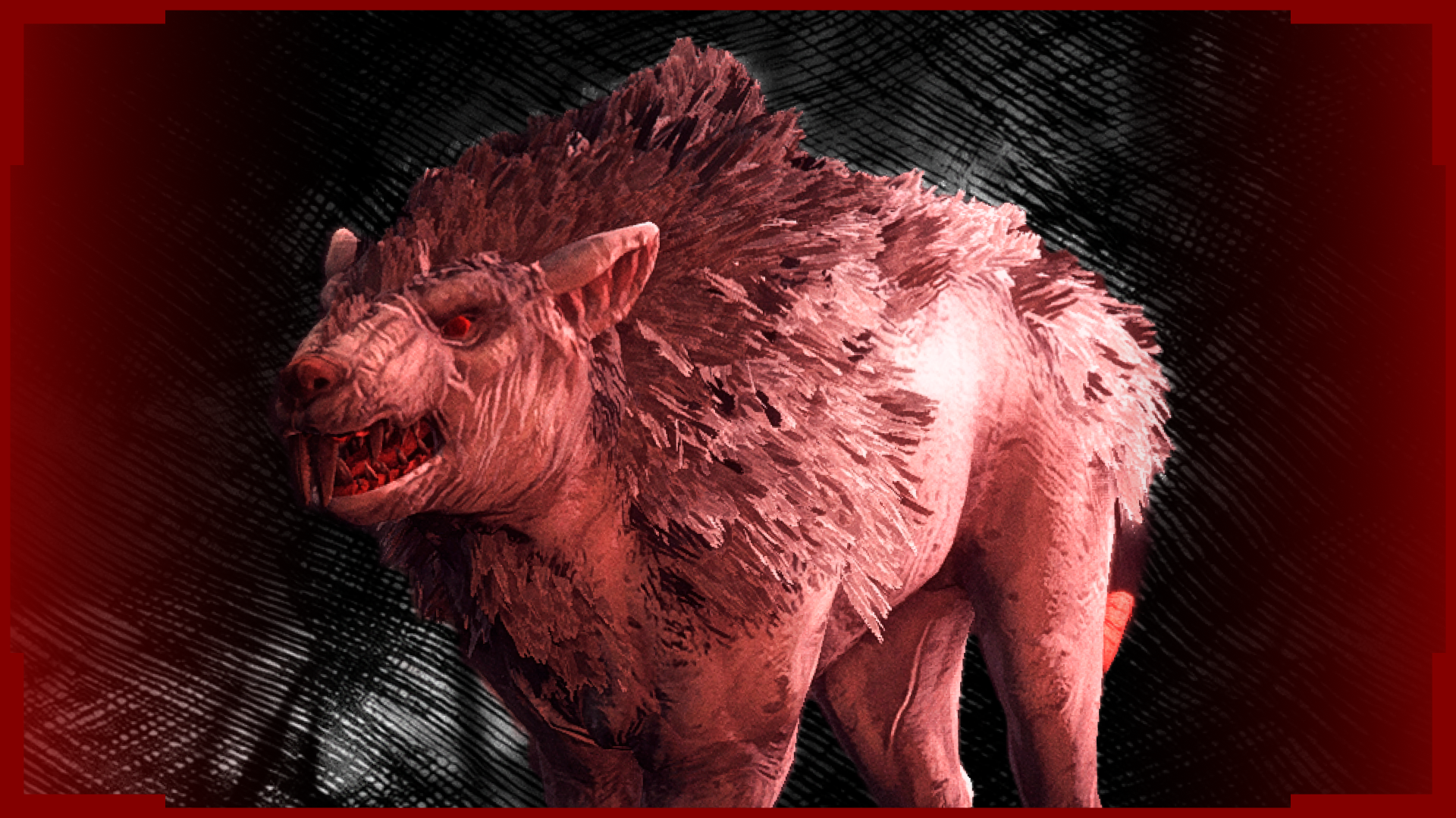 Rat