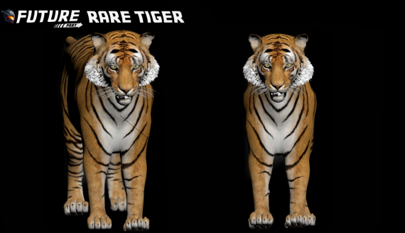 [ANIMAL] Rare Tiger