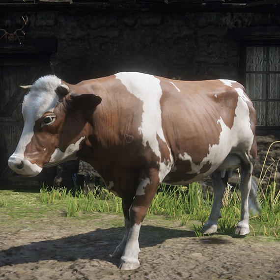 Vache