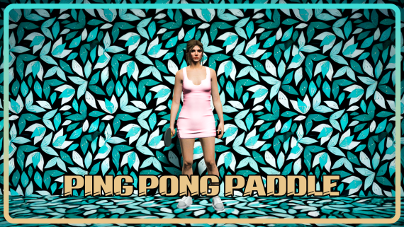 Ping Pong Paddle