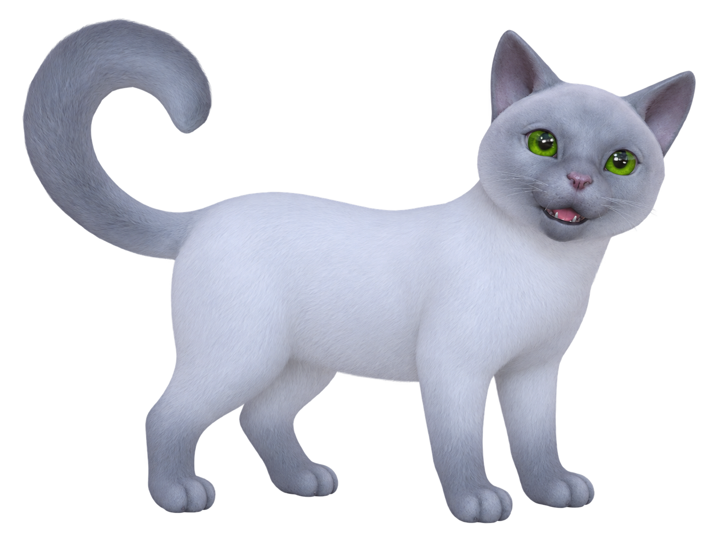 Gato Blanco