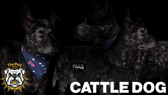 Cattle Dog + PD Cattle Dog (Addon Ped)