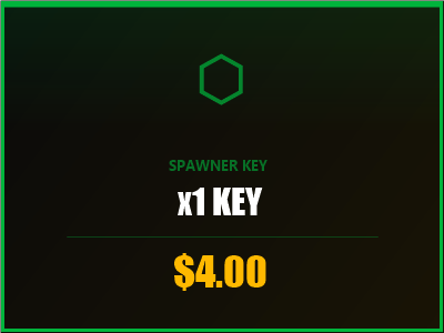Spawner Key x1
