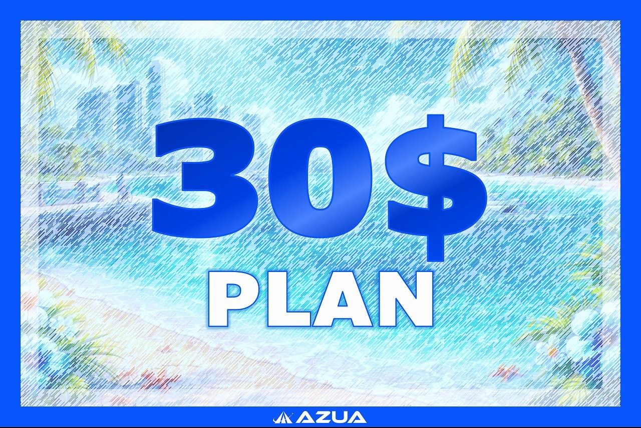 ３０＄プラン