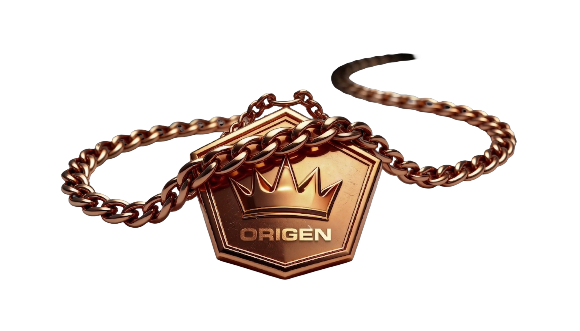 VIP BRONCE