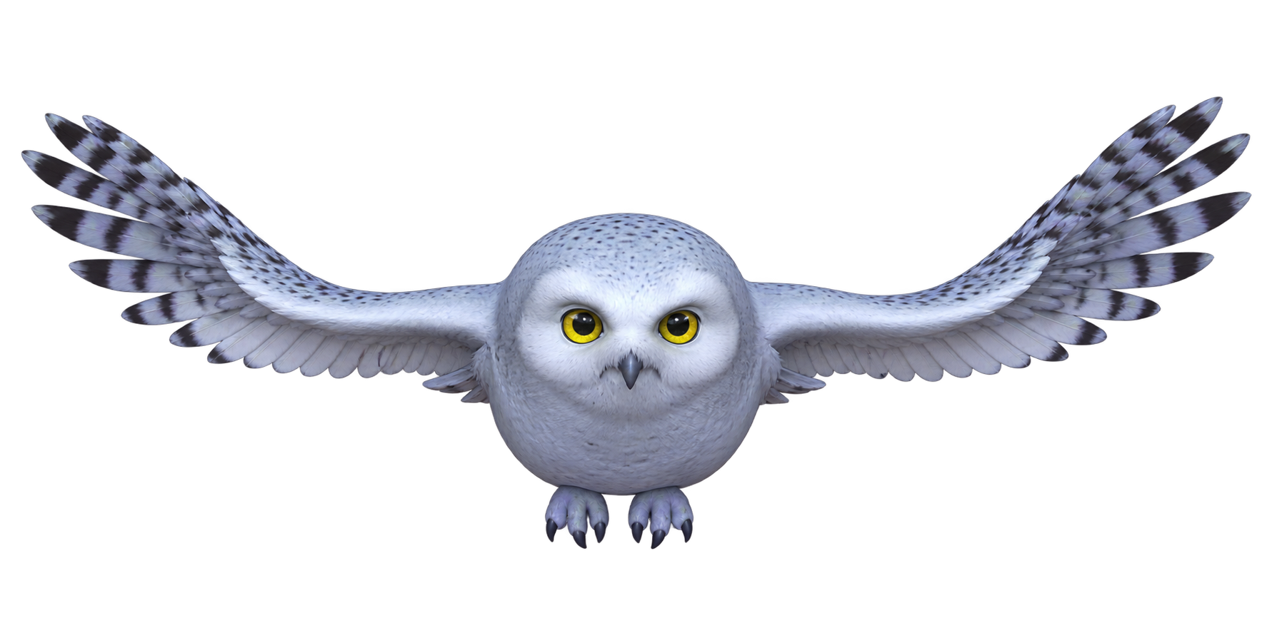 Coruja