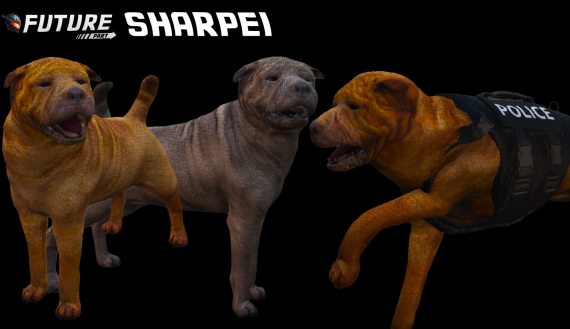 [ANIMAL] Sharpei [K9]