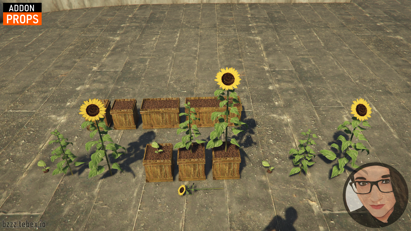 Sunflowers V2