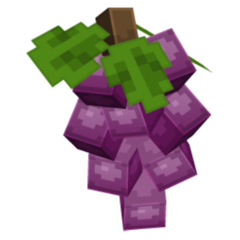 MAPLE --> BERRY RANK