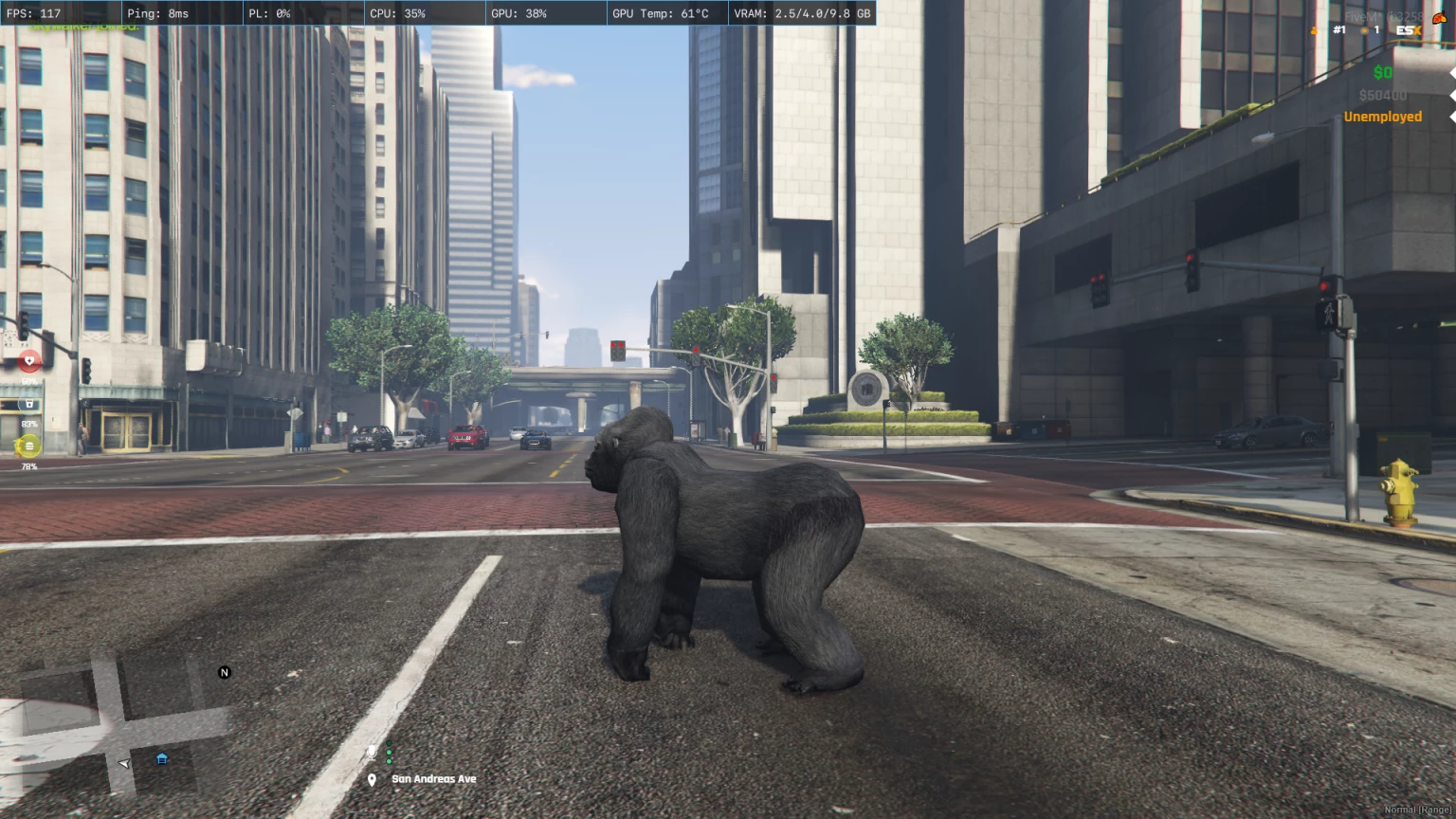 Gorilla