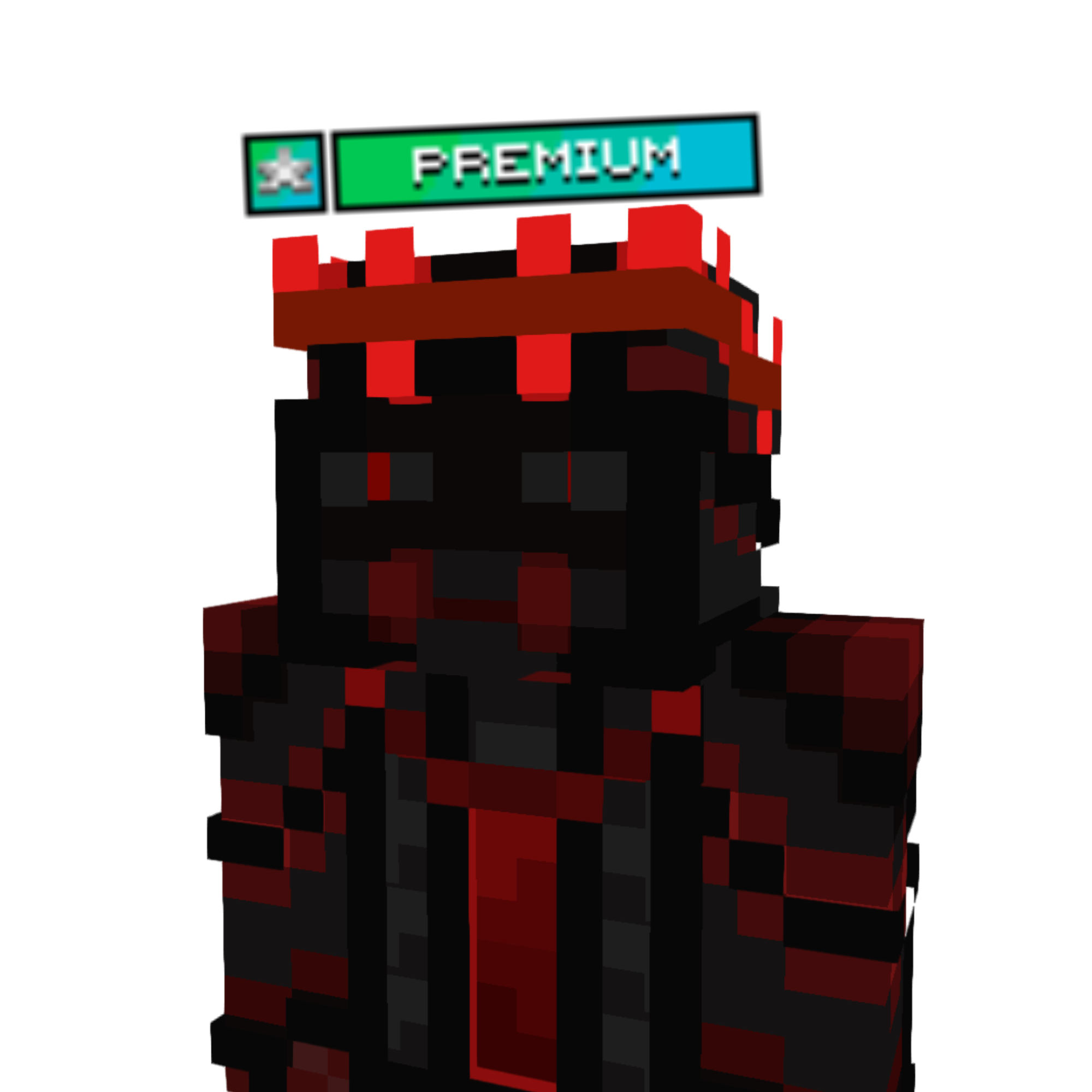 PREMIUM