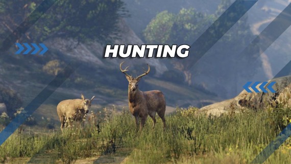 QB - Hunting { ESCROW QB}