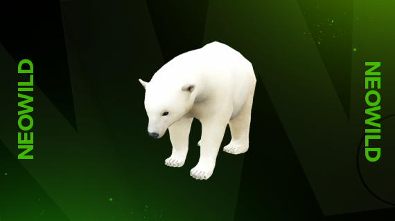 Ice Bear