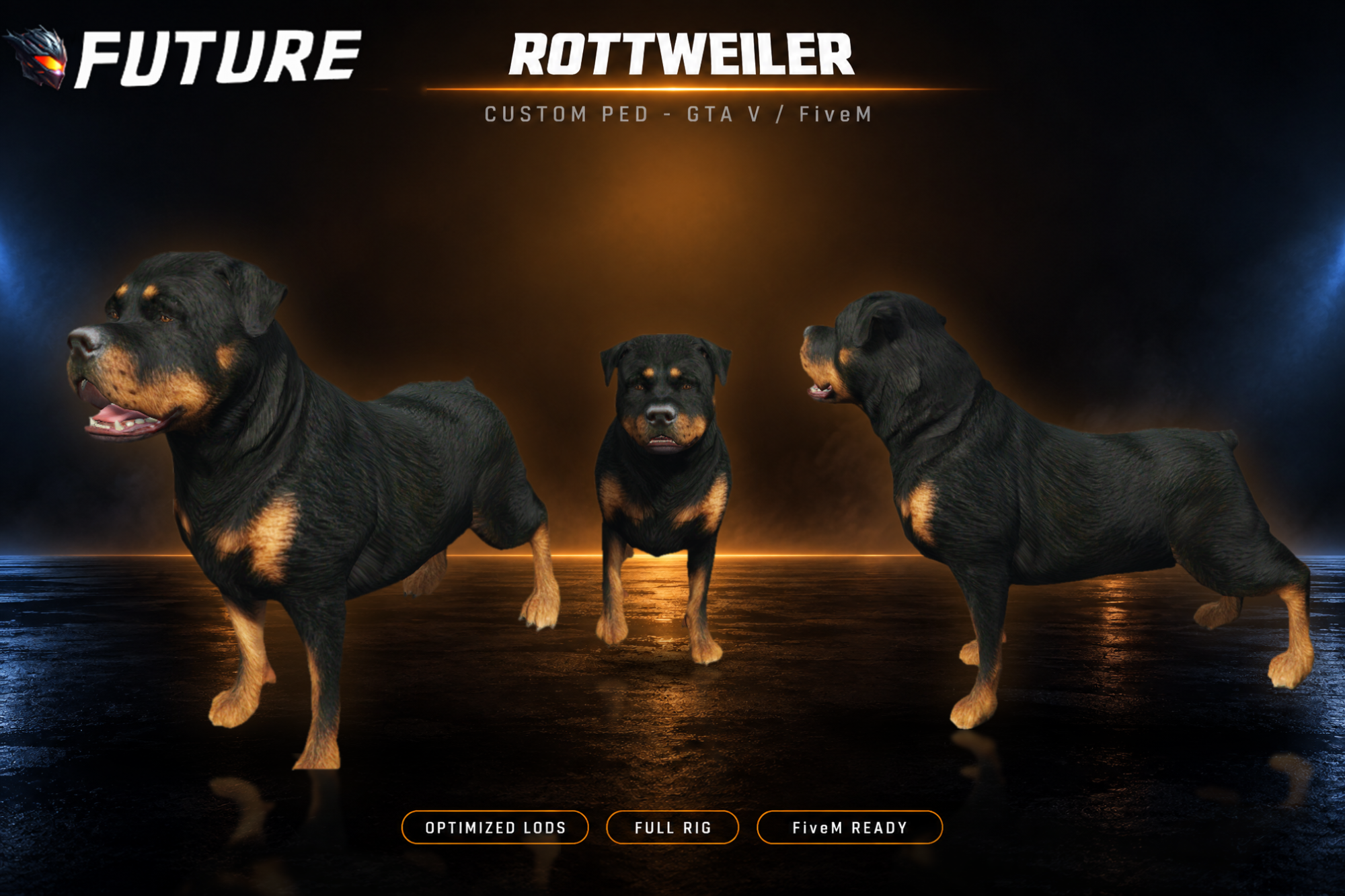 [DOG] Rottweiler
