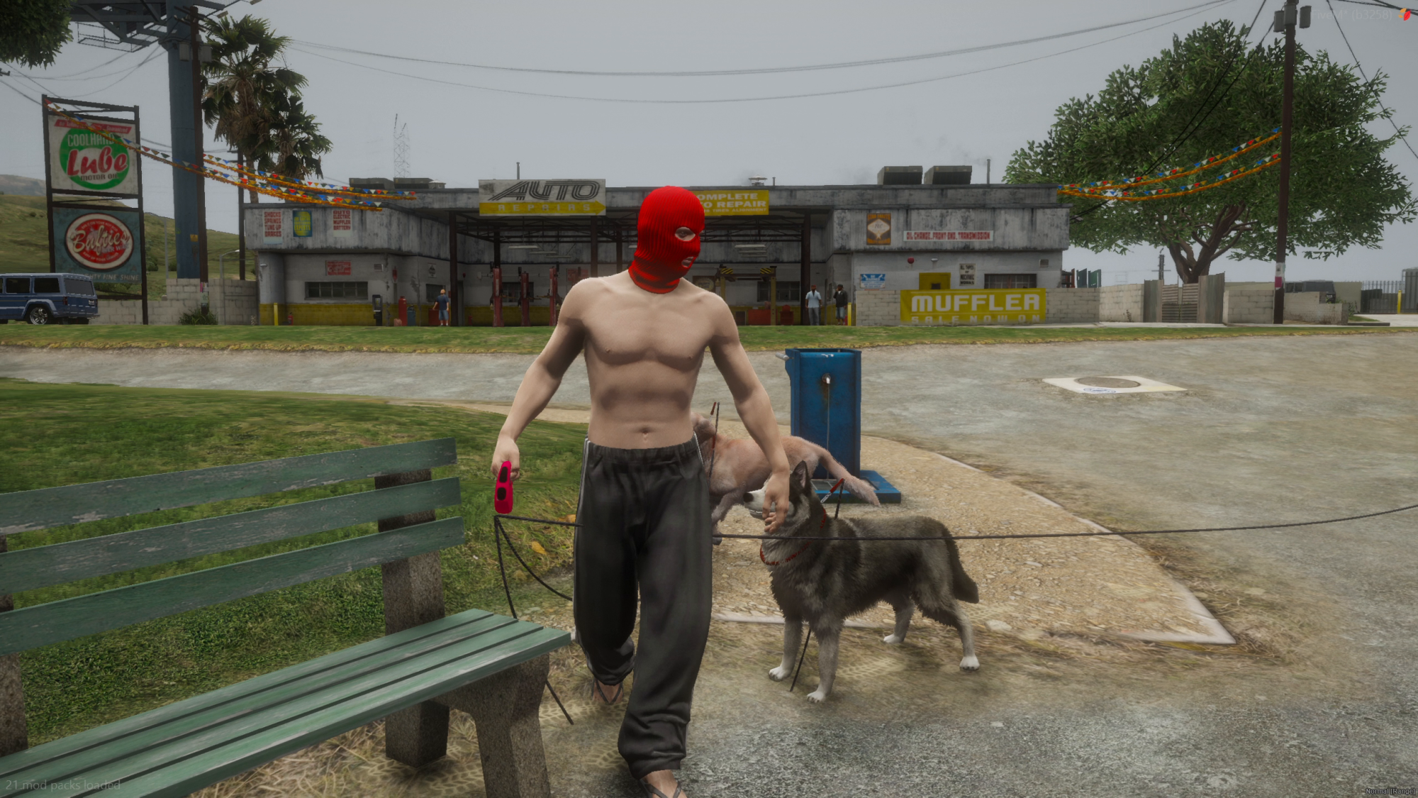 Dog Walker - Image undefined