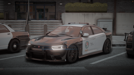 Police Buffalo GT