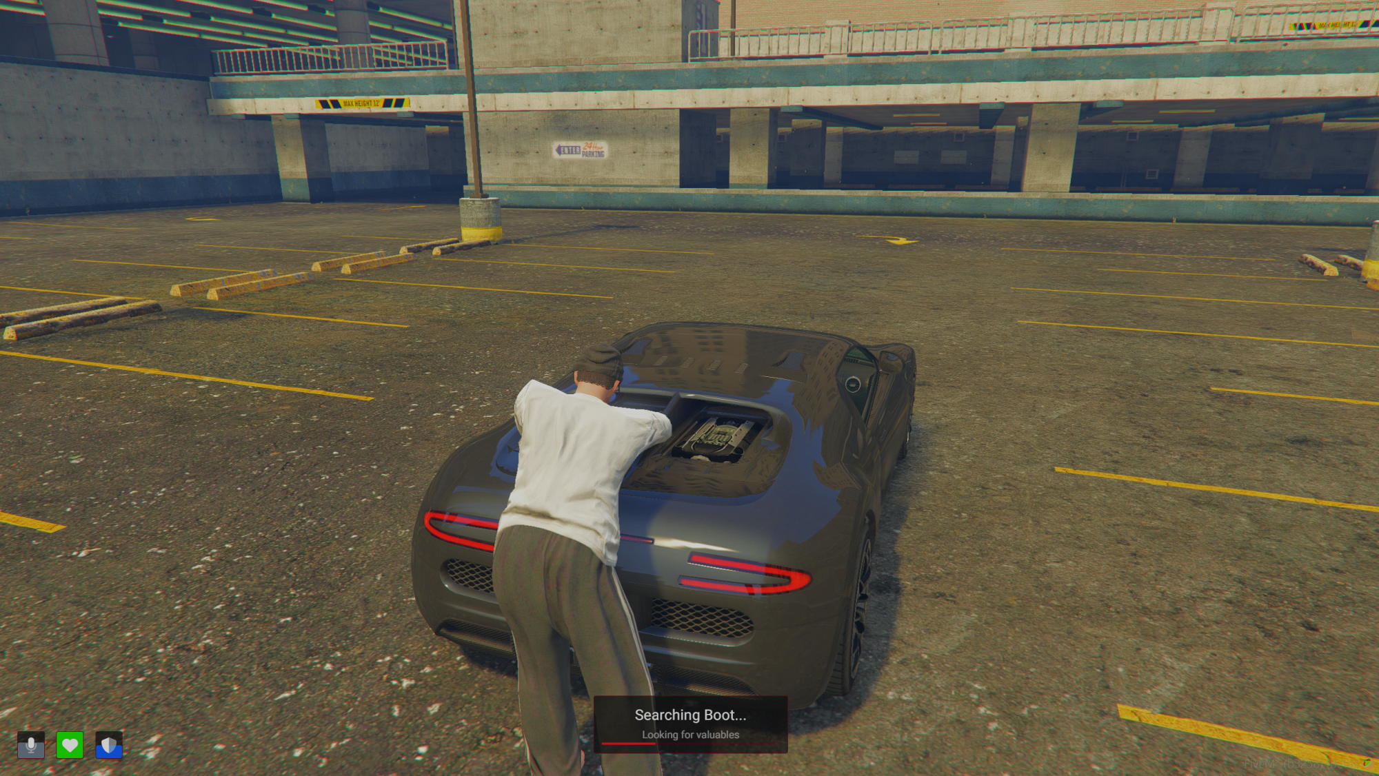 Vehicle Looting