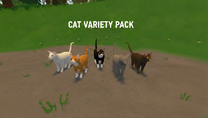 Cat Bundle